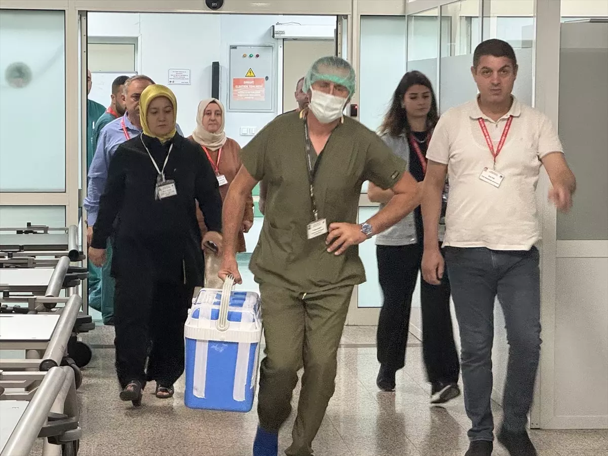 Trafik kazasında hayatını kaybeden genç kızın organları 5 hastaya nakledilecek